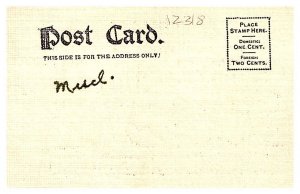 Valentine , Black Cats