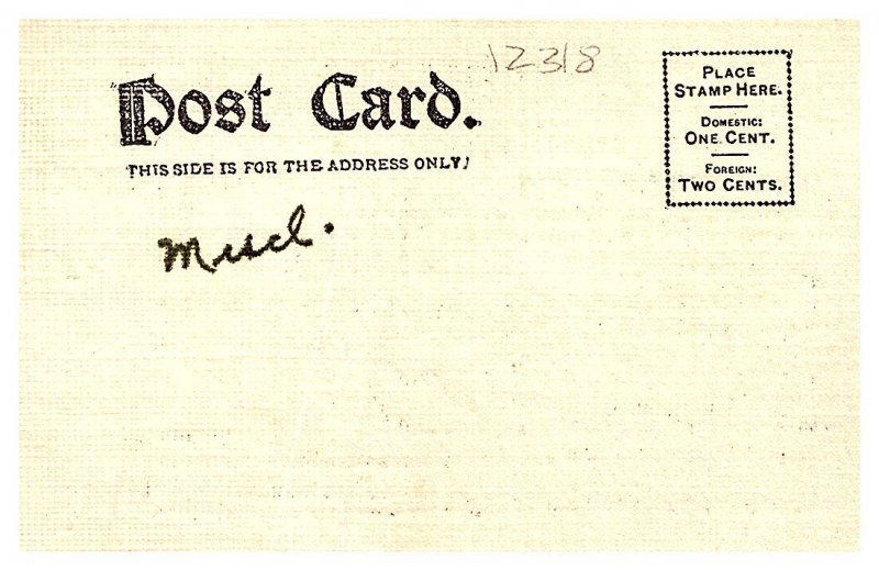 Valentine , Black Cats