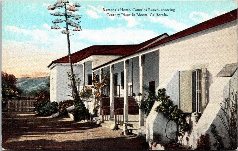 Ramonas Home Camulos Ranch Century Plant Bloom CA California Postcard UNP VTG 