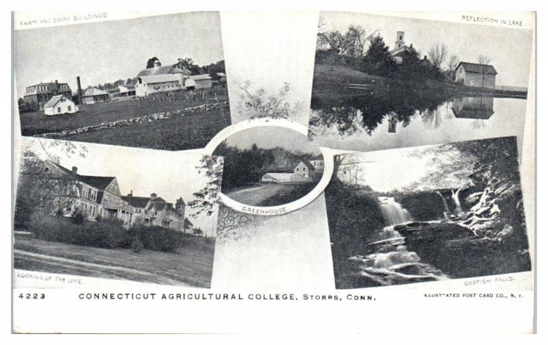 Early 1900s Connecticut Agricultural College, Storrs, CT Multiview Postcard