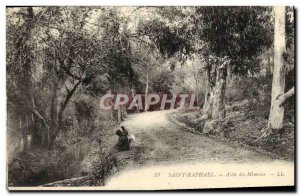 Postcard Old Saint Raphael Allee des Mimosas