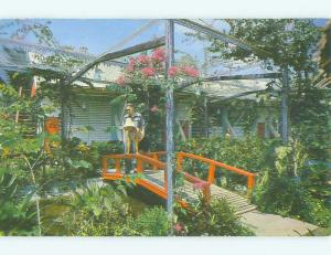 Pre-1980 ISLAND BEACHCOMBER HOTEL St. Thomas USVI HQ2497