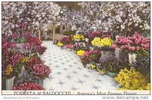 Podesta and Baldocchi Florists San Francisco California America's Most F...