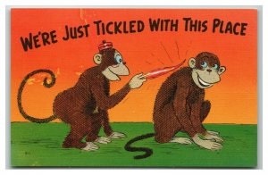 Vtg Two Monkey's Tickling Each Other With A Feather Funny Comic Cartoon Postcard