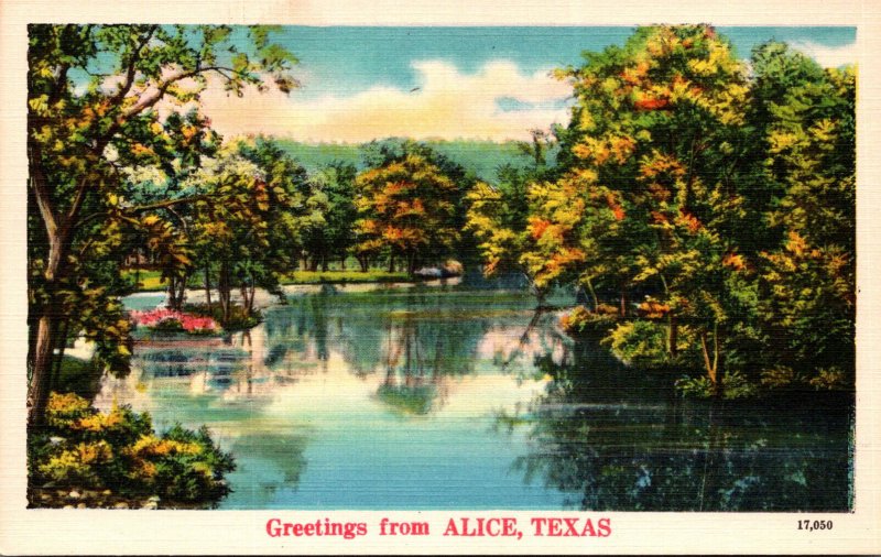 Texas Greetings From Alice River Scene