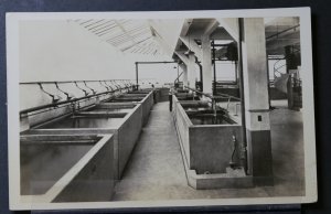 Chicago, IL - Shedd Aquarium, View of Work Space and Exhibition Tanks