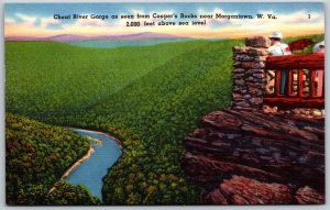 Vtg Morgantown West Virginia WV Cheat River Gorge from Cooper's Rock Postcard