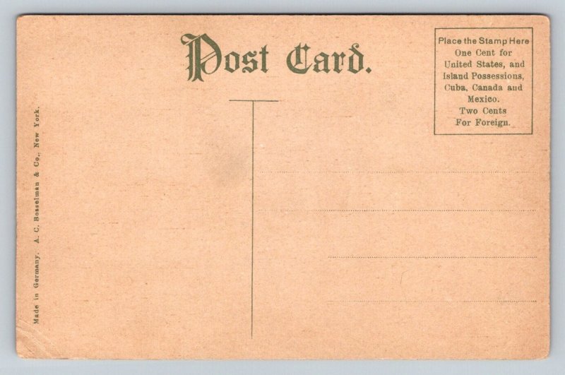 Bay Street  Watch Hill  Rhode Island  Postcard