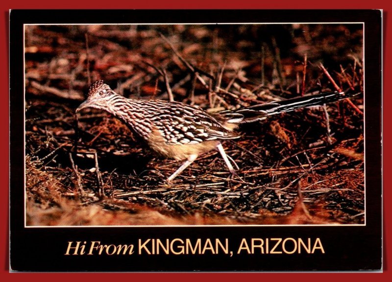 Arizona, Kingman- Road Runner - [AZ-397X]