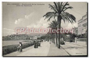 Postcard Old Cannes Boulevard De La Croisette Allee Palmiers