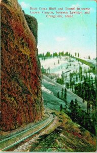 Lapwai Canyon Royal Creek Bluff and Tunnel Grangeville Idaho ID 1909 DB Postcard