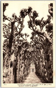 VINTAGE POSTCARD QUEEN MARY'S BOWER AT HAMPTON COURT PALACE ENGLAND U.K. 1920s