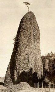 C.1910 Closeup Needle Rock  RPPC Real Photo Vintage Postcard P110