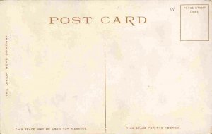 Paddle Steamer Barge Ohio River Bridge Marietta Ohio 1910c Phostint postcard