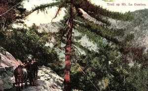 Trail up Mt. La Cumbre, Santa Barbara, Cal. Postcard P122