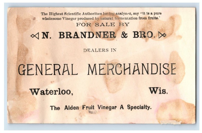 1880s Alden Fruit Vinegar Sold By N. Brandner & Son Priscilla Lovely Lady F105