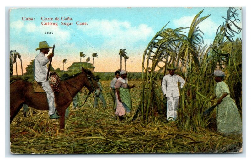 Postcard Cuba, Cutting Sugar Cane 1929 T8