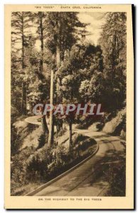 Old Postcard Santa Cruz California On The Highway To The Big Trees