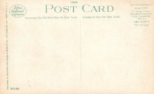 Vintage Postcard 1910's Japanese Garden California Home Western Publishing Co.