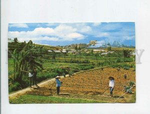 473250 South Vietnam Garden scene Da Lat high country Germany Postage Paid RPPC