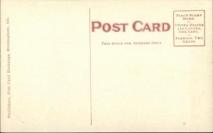 Birmingham AL American Steel & Wire Co c1910 Unused Postcard