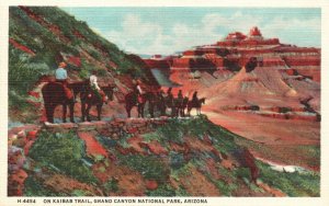 Vintage Postcard 1920's On Kaibab Trail Grand Canyon National Park Arizona AZ