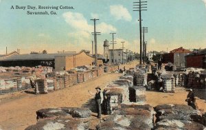 A Busy Day, Receiving Cotton SAVANNAH, GA Occupational c1910s Vintage Postcard