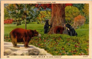 I Can't Bear to Leave Yosemite Nat'l Park Bears c1939 Vintage Postcard V24