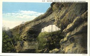 Natural Bridge in the Mountains of Tennessee - WB