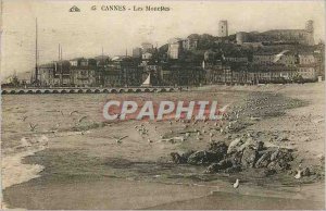 Postcard The Old Cannes Gulls