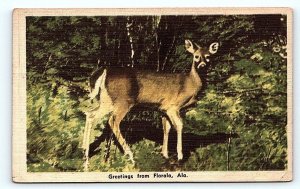 Greetings from FLORALA, Alabama AL ~ 1944 Covington County Postcard