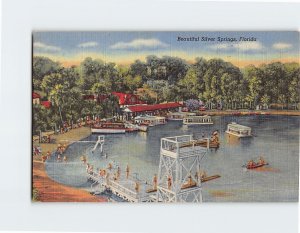 Postcard Beautiful Silver Springs, Florida