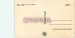 Modern Postcard Senegal Young Woman