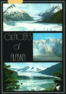 Vintage Postcard Glaciers of Alaska Top Portage Near Anchorage Polar Bear Prints