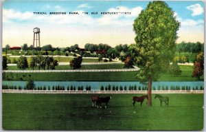 Kentucky KY, Breeding Farm, in Old Kentucky, Horses, Animals, Vintage Postcard