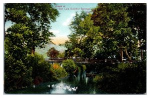 Early 1900s Bridge over Creek at San Luis Sulphur Springs, CA Postcard