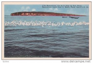Bonaventure Island from S.Beach, Perce, Quebec, Canada,  40-60s