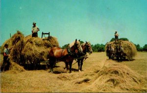 Harvest Hay Down South