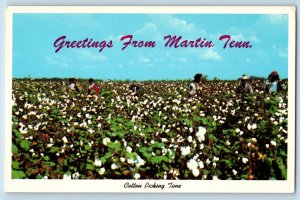 Martin Tennessee TN Postcard Greetings Cotton Picking Time Harvest Ready c1960