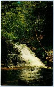 Postcard - Waterfall along Turkey Path at Leonard Harrison State Park - PA