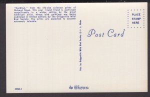 Cardinal from the Life-Size Collector Prints of Richard Sloan, winter setting