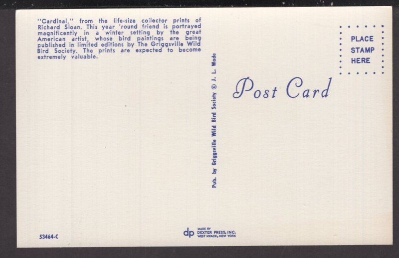 Cardinal from the Life-Size Collector Prints of Richard Sloan, winter setting