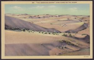 Sand Dunes on the Desert,The American Sahara Postcard