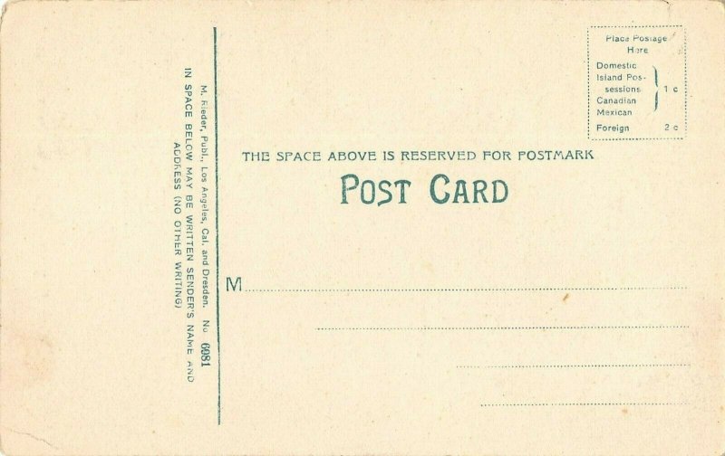 LPS01 Wilson's Trail California Aerial View Postcard