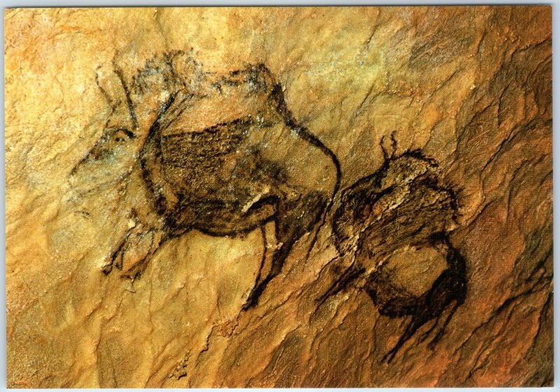 c1960s Guernica, Spain Santimamiñe Cave Bison Prehistoric Cave Art 4x6 PC M47