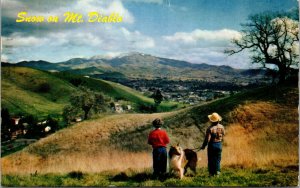 Vtg Snow On Mt Diablo Collie Dog Contra Costa County California CA Postcard