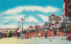 New Jersey Atlantic City Feeding The Pigeons