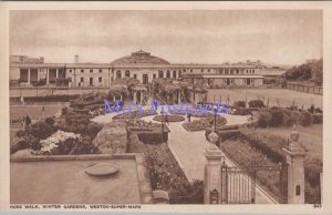 Somerset Postcard - Weston Super Mare, Rose Walk, Winter Gardens  DC2238