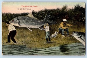 Yorkville Illinois IL Postcard Exaggerated Fish The Kind We Catch 1956 Vintage