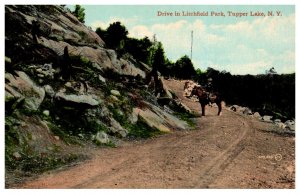 New York  Tupper Lake  Drive in  Litchfield Park , Man riding Horse